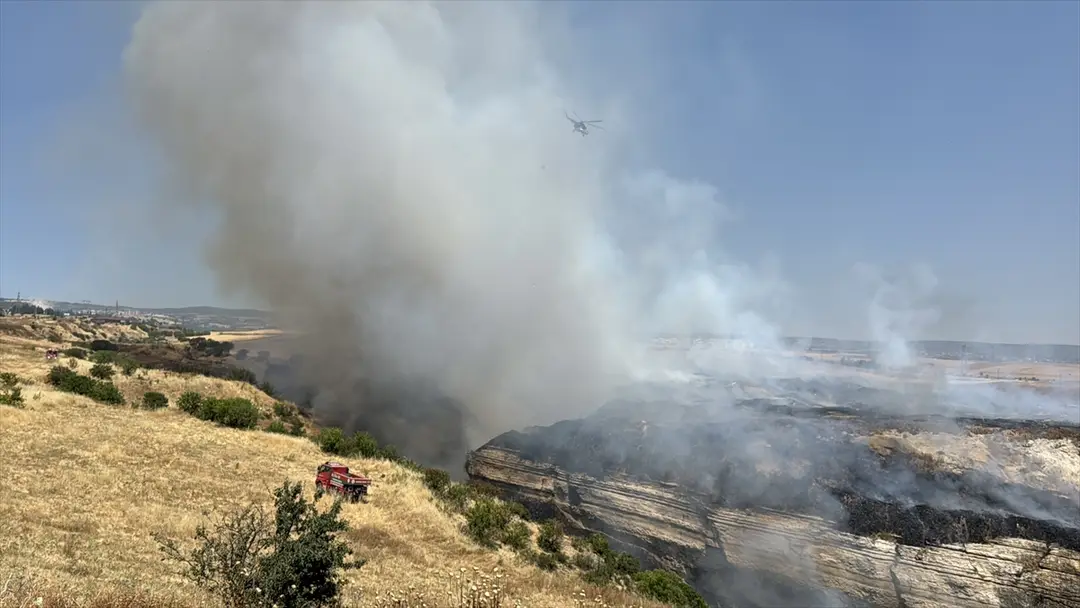 Stoppelfeldbrand in Safranbolu: Einsatzkräfte greifen ein
