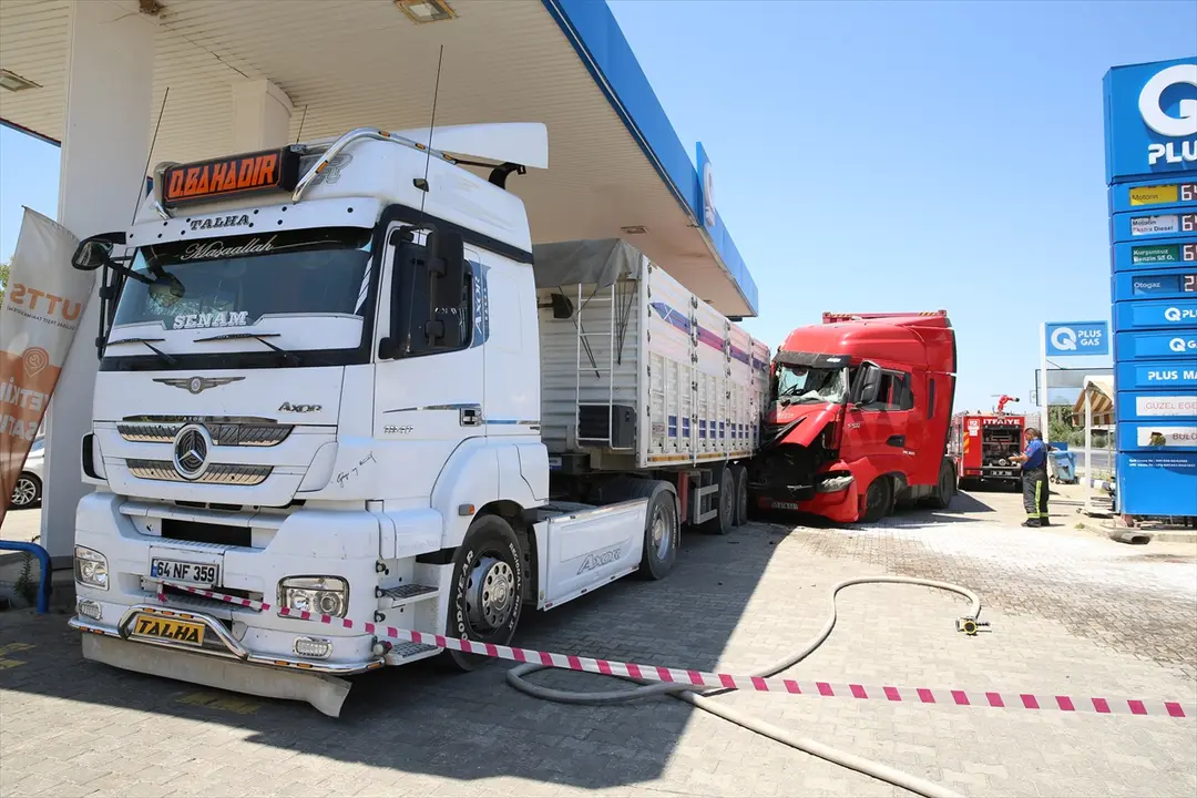 Unfallfahrer in Denizli: 'Biene stach mich, ich wurde ohnmächtig'
