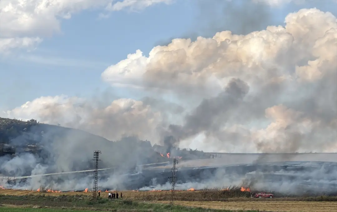 Stubble Fire in Edirne: 30 Decares of Farmland Destroyed