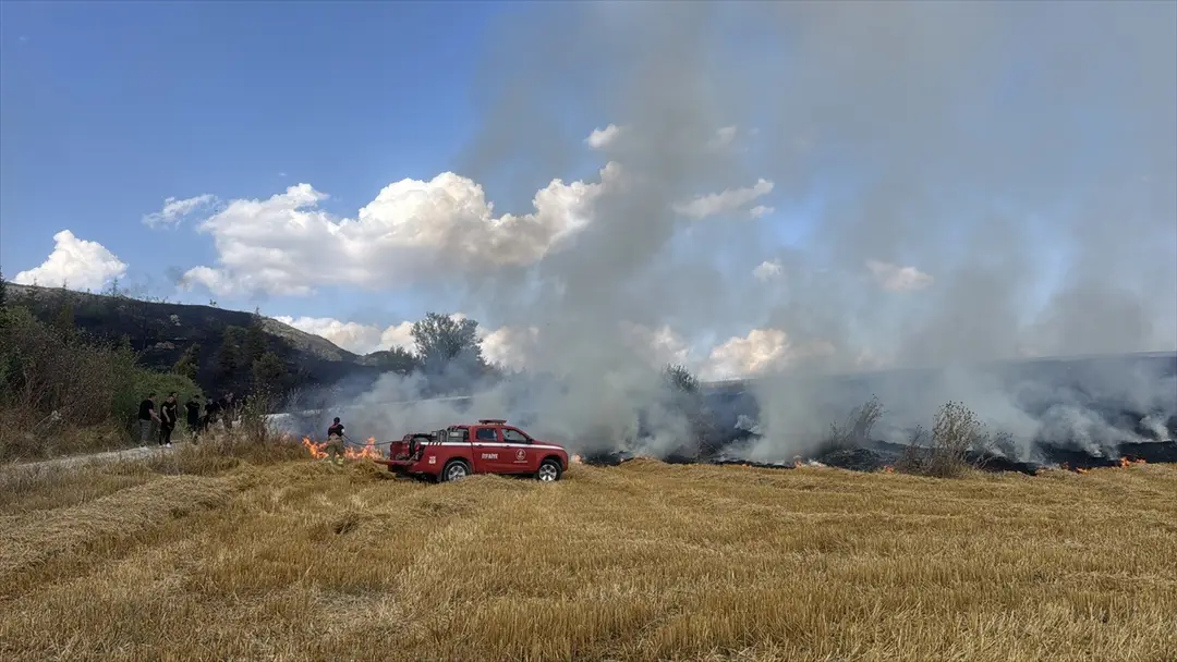 Stubble Fire in Edirne: 30 Decares of Farmland Destroyed