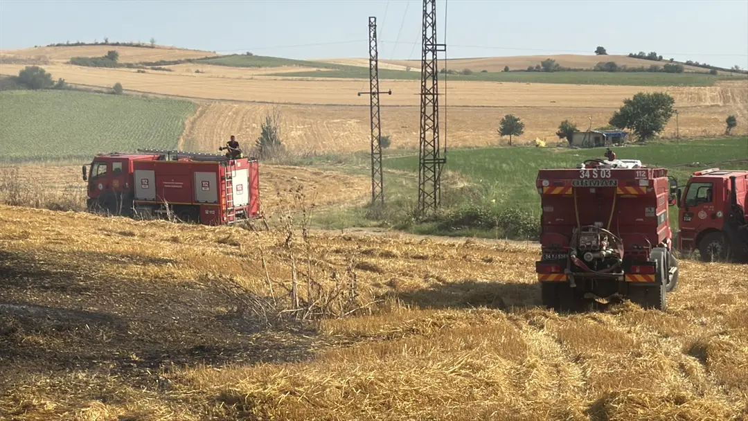 Stubble Fire in Edirne: 30 Decares of Farmland Destroyed