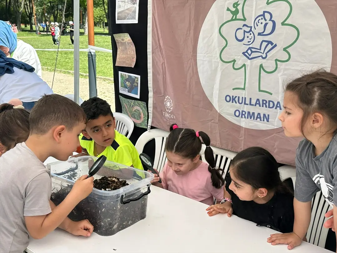 TÜRÇEV: 267 Schools Awarded Flags in International Forest Program