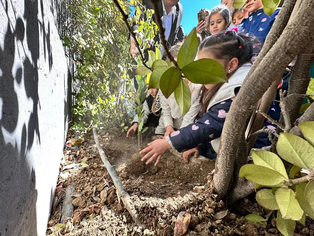 TÜRÇEV: 267 Schools Awarded Flags in International Forest Program