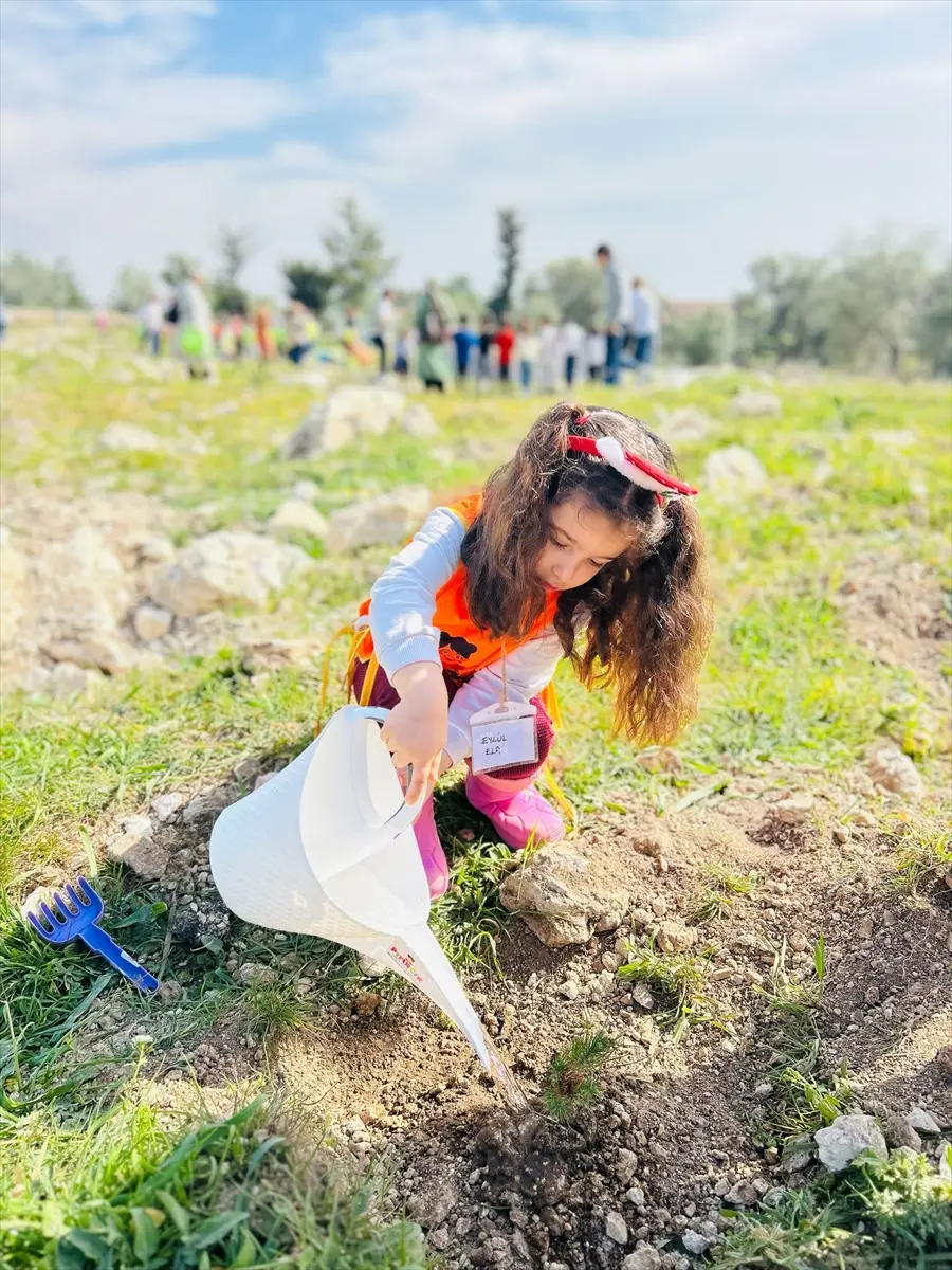 TÜRÇEV: 267 Schools Awarded Flags in International Forest Program