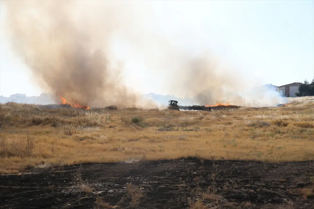 Eskişehir: Graslandbrand vor Häusern gelöscht