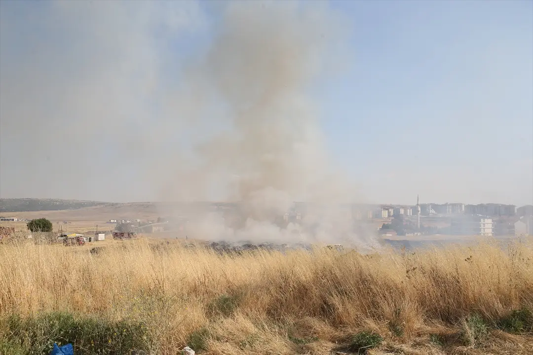 Eskişehir: Graslandbrand vor Häusern gelöscht