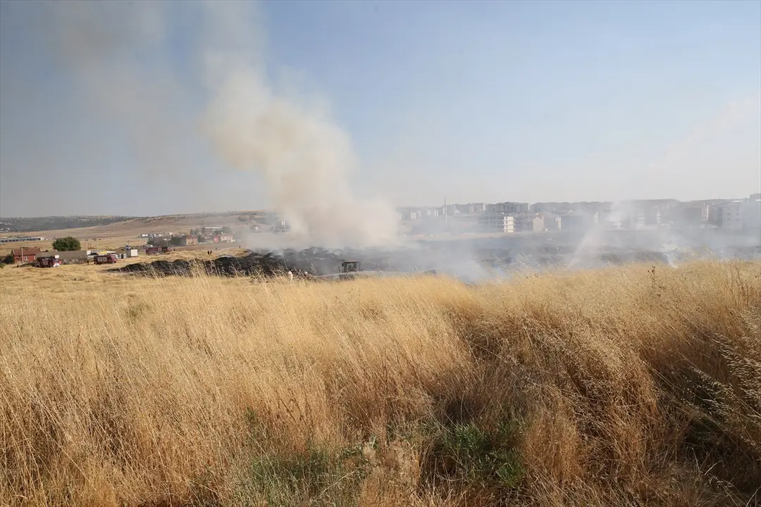 Eskişehir: Graslandbrand vor Häusern gelöscht