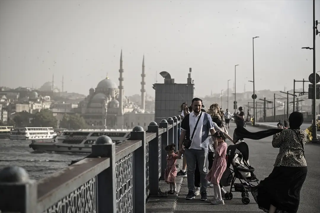 Heftiger Sturm in Istanbul: Bäume stürzten um