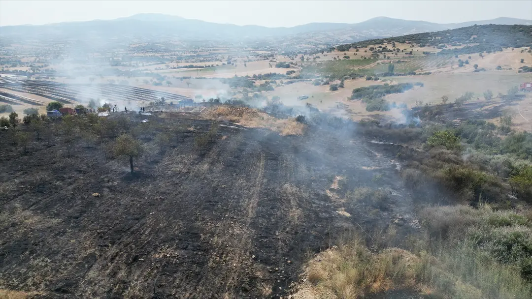 Brand in Manisa: Auf Mandelbäume übergegriffene Flammen gelöscht