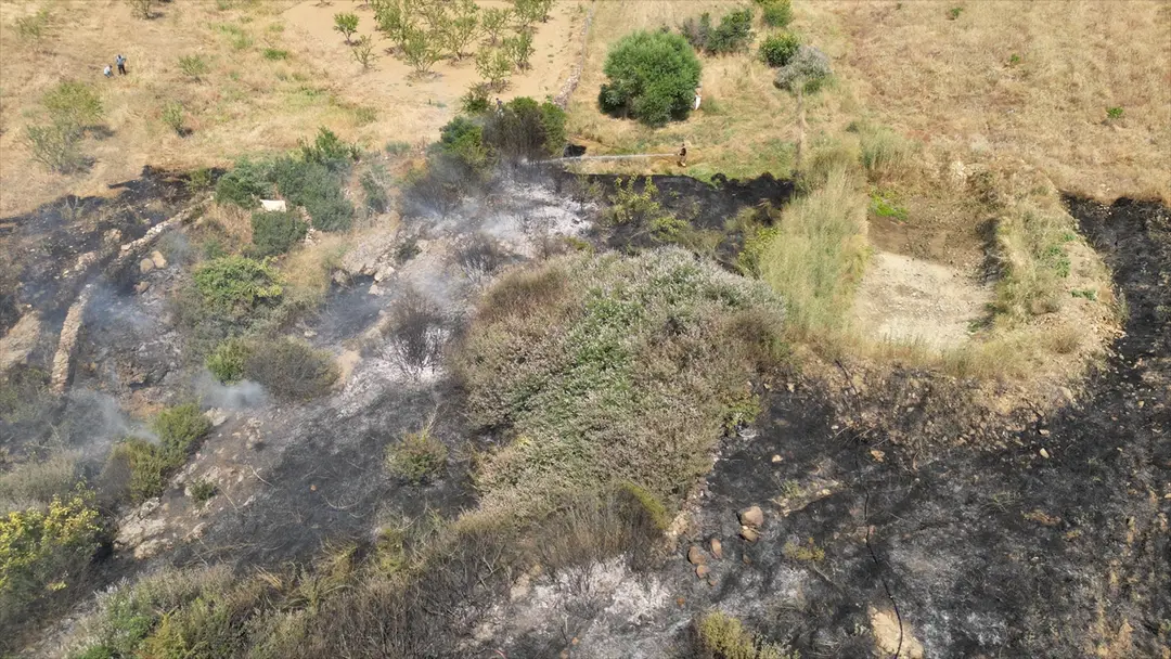 Brand in Manisa: Auf Mandelbäume übergegriffene Flammen gelöscht