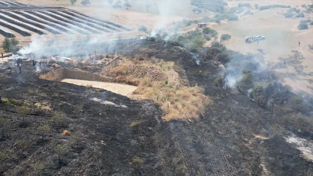 Brand in Manisa: Auf Mandelbäume übergegriffene Flammen gelöscht