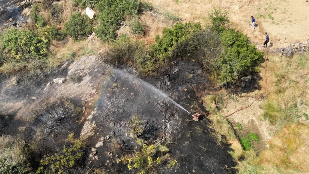 Brand in Manisa: Auf Mandelbäume übergegriffene Flammen gelöscht