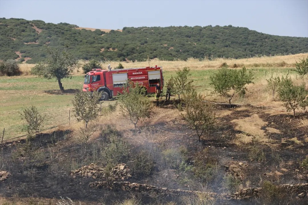 Brand in Manisa: Auf Mandelbäume übergegriffene Flammen gelöscht