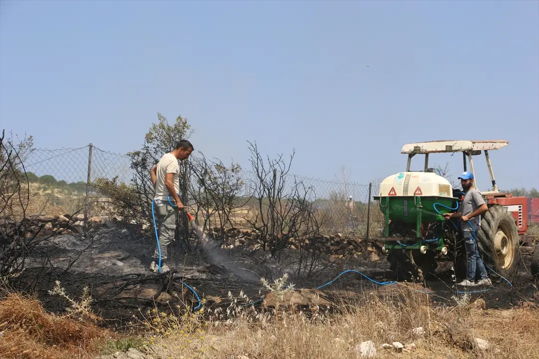 Brand in Manisa: Auf Mandelbäume übergegriffene Flammen gelöscht