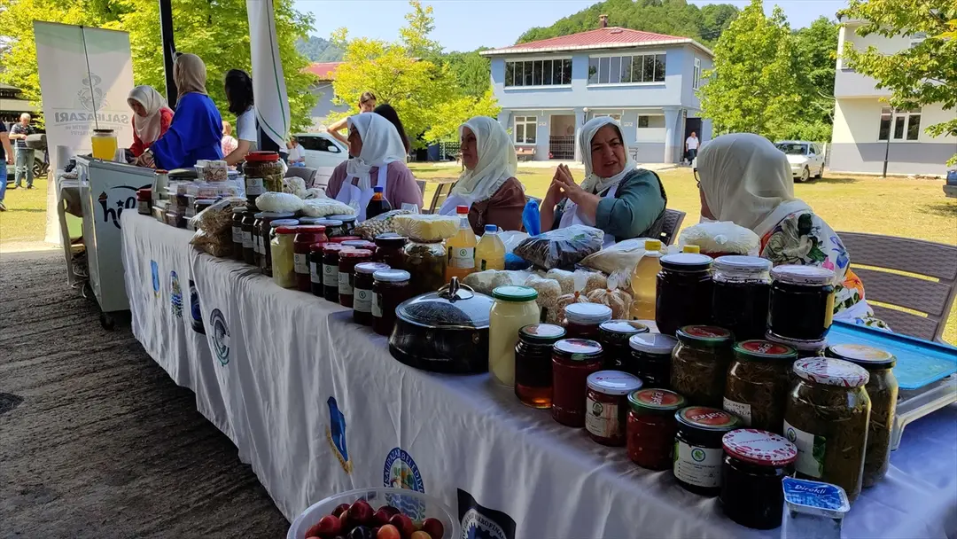 Samsun: Ernte von Salıpazarı-Kastanienhonig mit geografischer Angabe beginnt