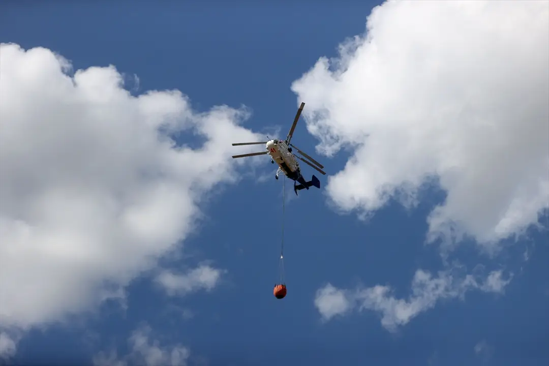 Waldbrand in Kırklareli gelöscht