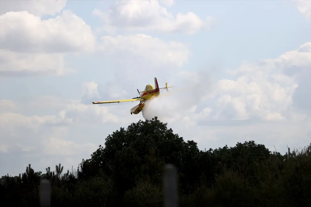 Waldbrand in Kırklareli gelöscht