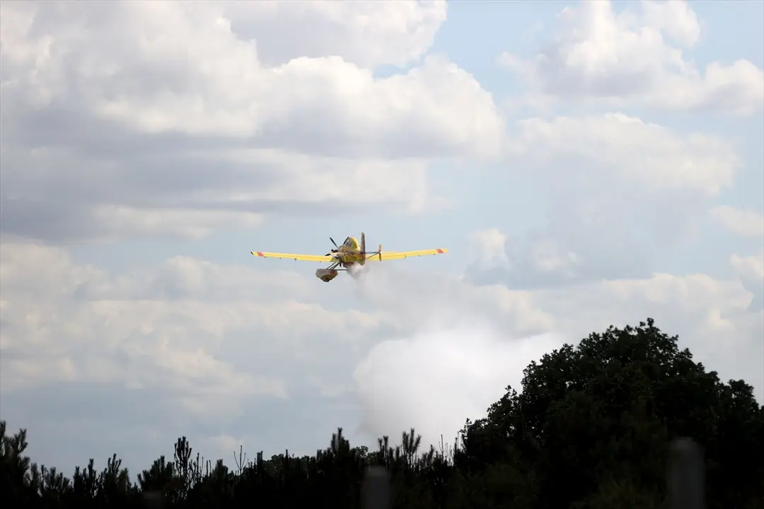 Waldbrand in Kırklareli gelöscht