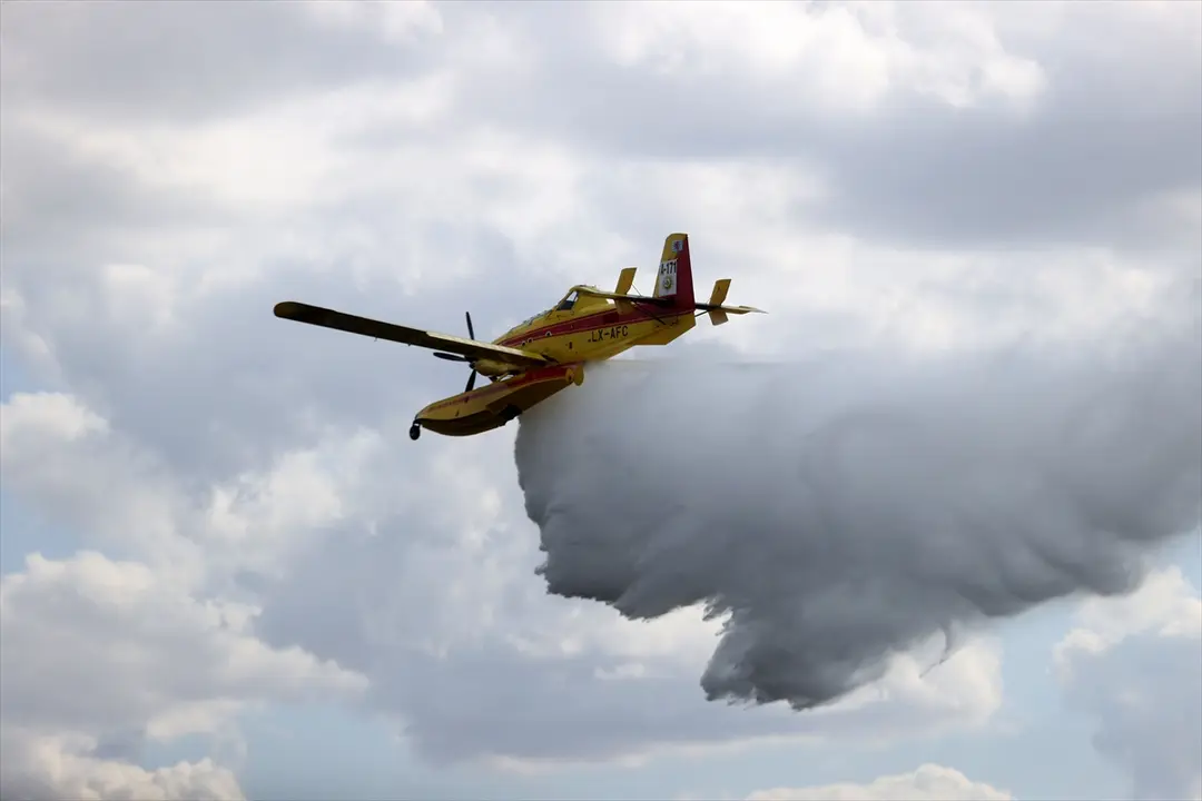 Waldbrand in Kırklareli gelöscht