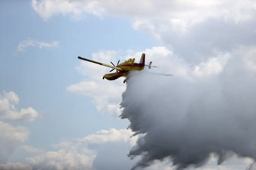Waldbrand in Kırklareli gelöscht