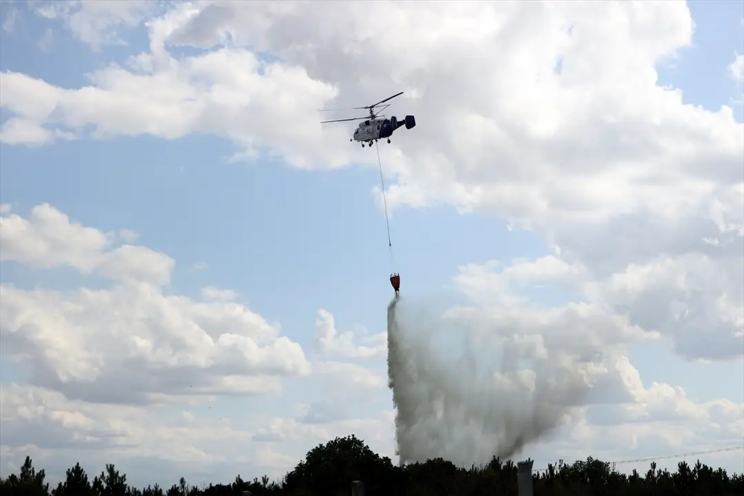 Waldbrand in Kırklareli gelöscht