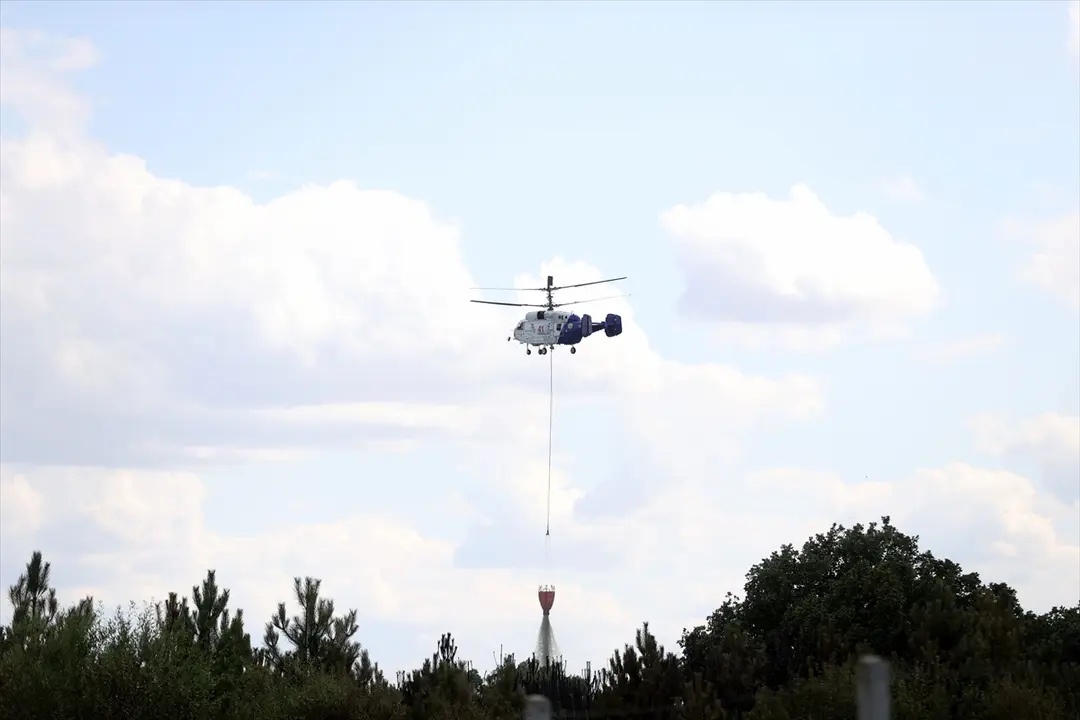 Waldbrand in Kırklareli gelöscht