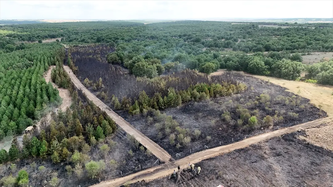 Waldbrand in Kırklareli gelöscht