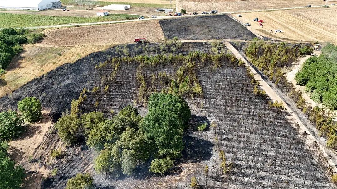 Waldbrand in Kırklareli gelöscht