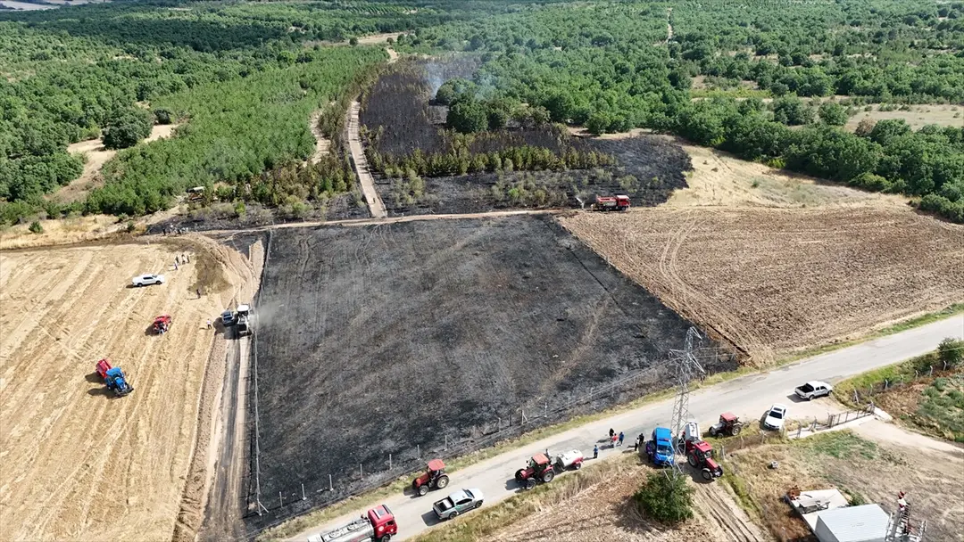 Waldbrand in Kırklareli gelöscht