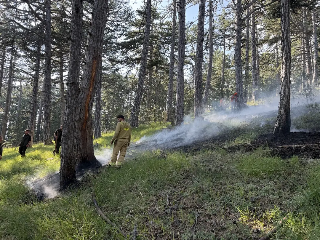 Waldbrand in Kütahya durch Blitzschlag gelöscht