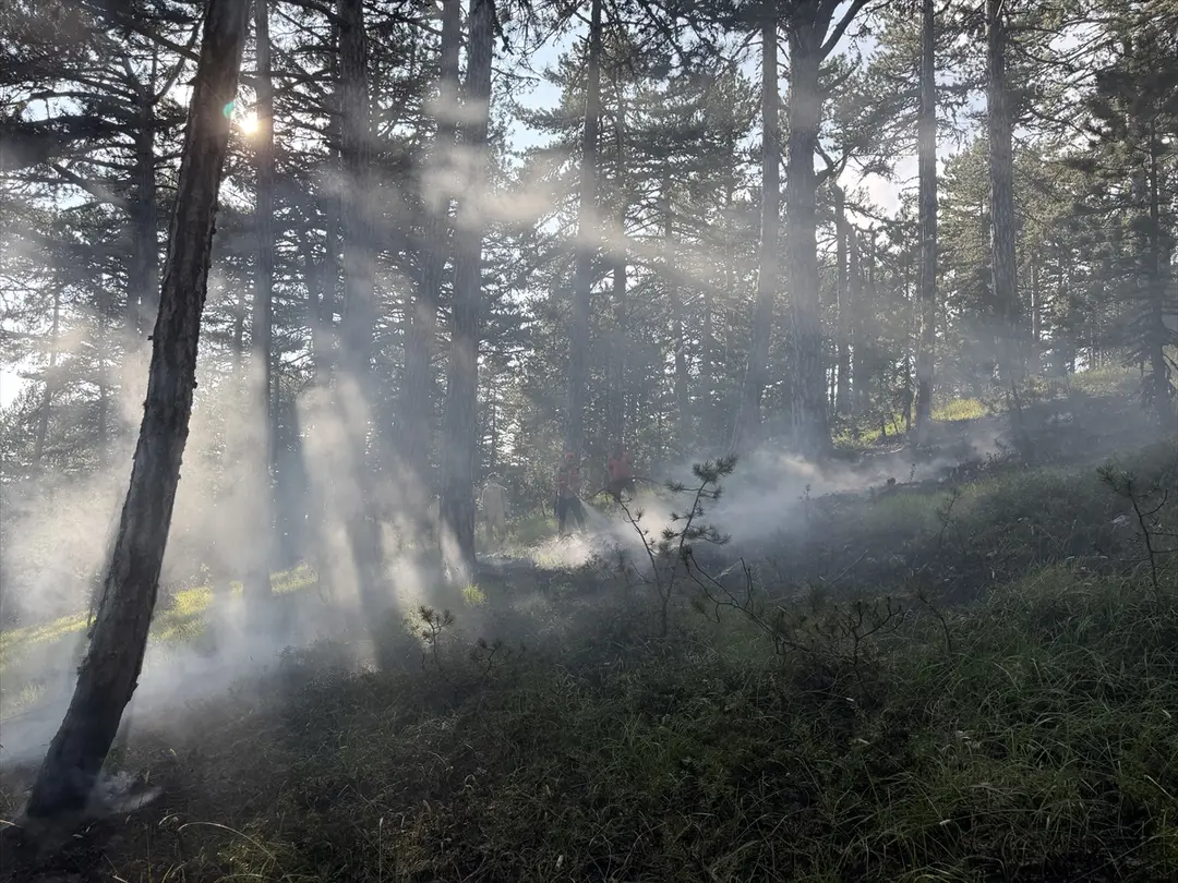 Waldbrand in Kütahya durch Blitzschlag gelöscht