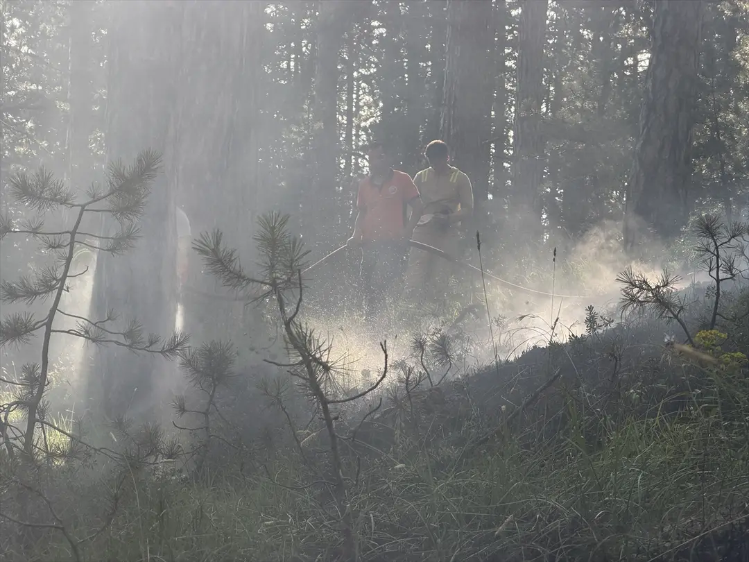 Waldbrand in Kütahya durch Blitzschlag gelöscht