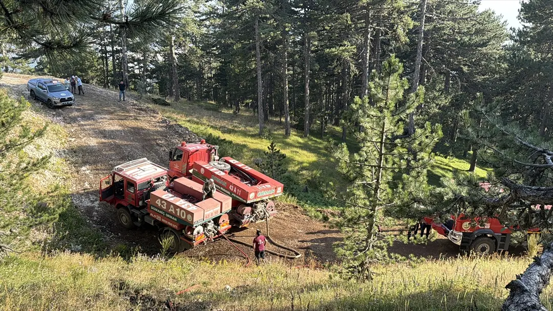 Waldbrand in Kütahya durch Blitzschlag gelöscht