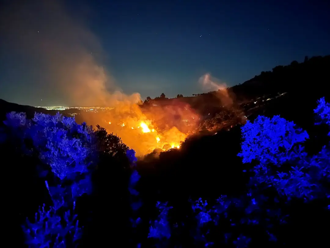 Waldbrand in Ödemiş, İzmir: Einsatzkräfte greifen ein