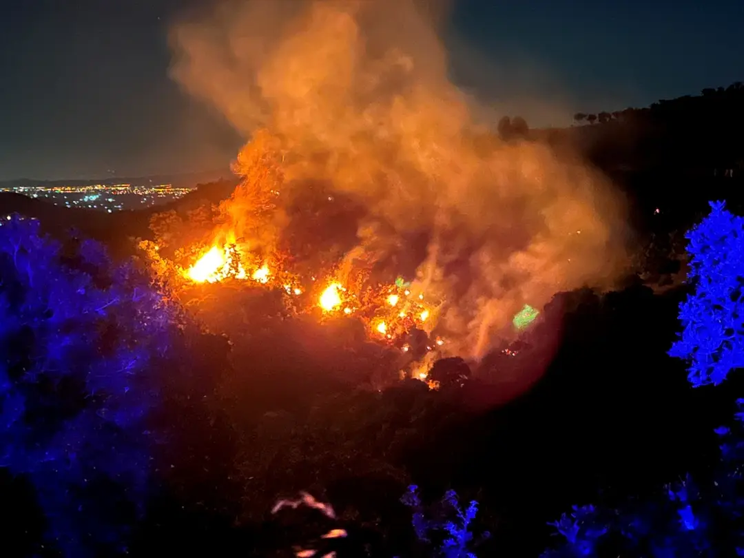 Waldbrand in Ödemiş, İzmir: Einsatzkräfte greifen ein