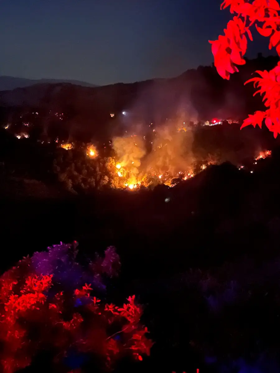 Waldbrand in Ödemiş, İzmir: Einsatzkräfte greifen ein