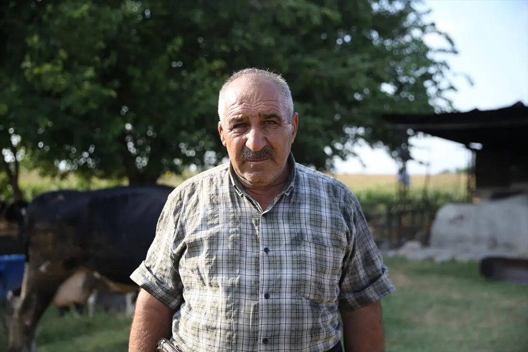 Ehepaar Avşar: Freude über Drillingskälber – ein Fall unter Hunderttausend