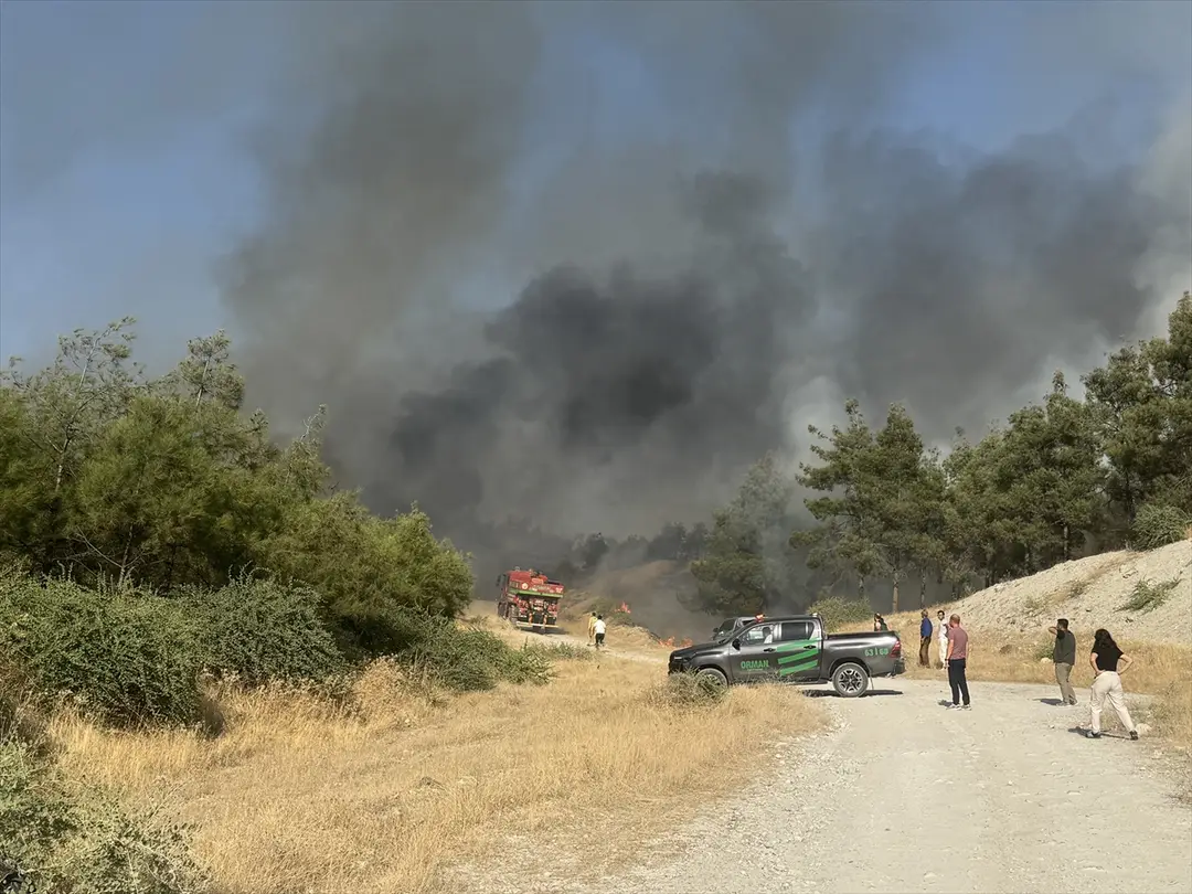 Fire Spreading to Forest in Şanlıurfa Under Control