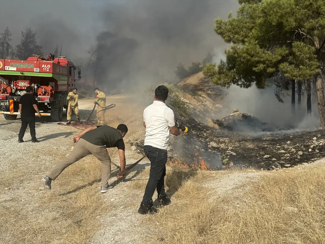 Fire Spreading to Forest in Şanlıurfa Under Control