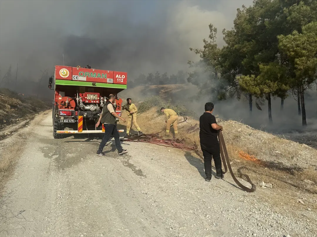 Fire Spreading to Forest in Şanlıurfa Under Control