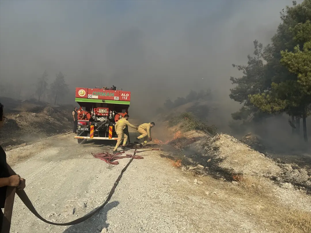 Fire Spreading to Forest in Şanlıurfa Under Control