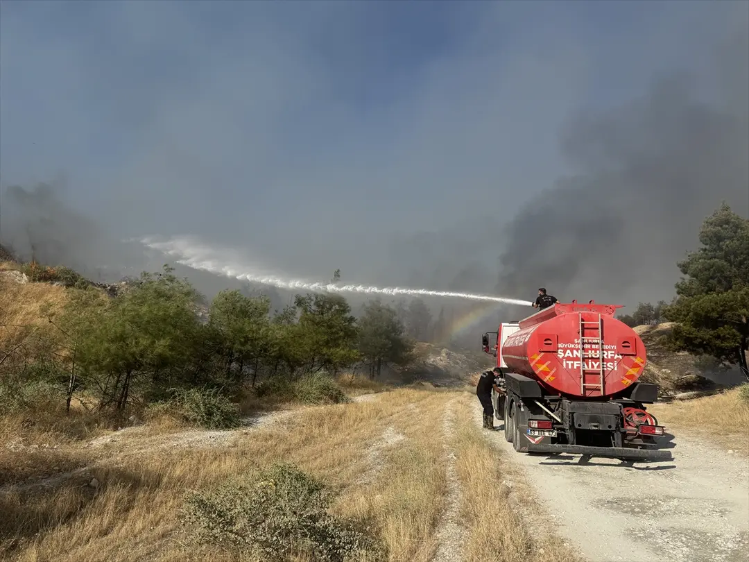Fire Spreading to Forest in Şanlıurfa Under Control