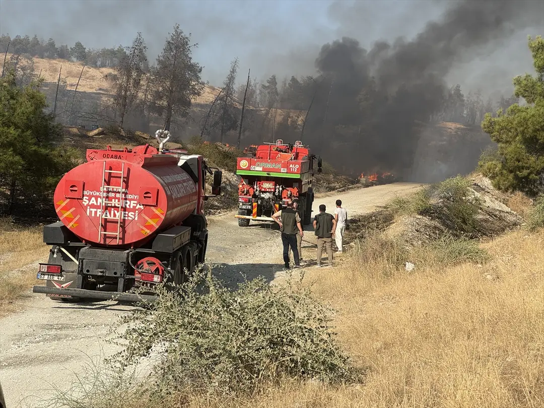 Fire Spreading to Forest in Şanlıurfa Under Control