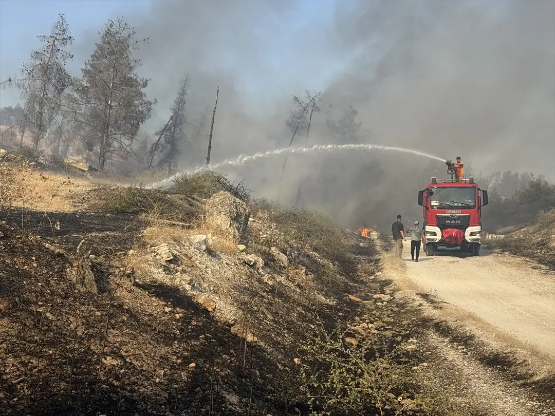 Fire Spreading to Forest in Şanlıurfa Under Control