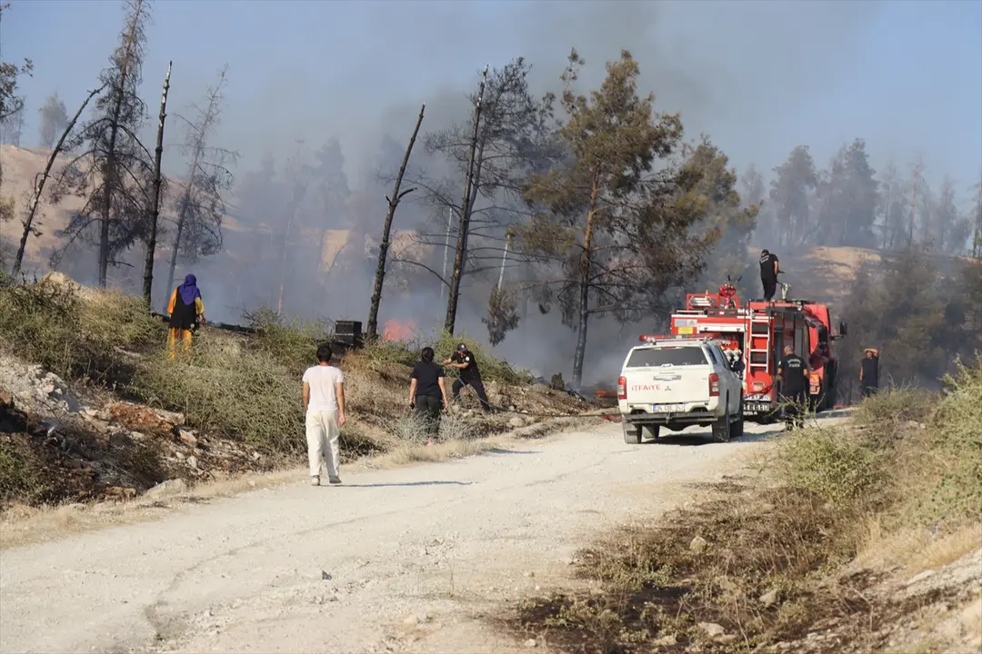 Fire Spreading to Forest in Şanlıurfa Under Control