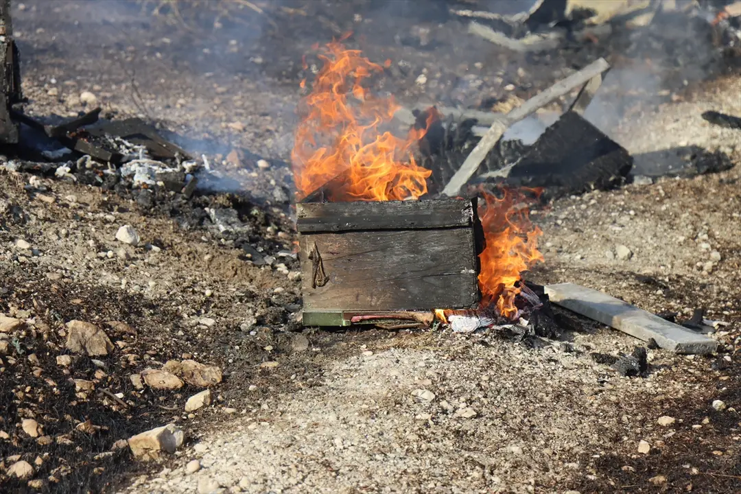 Fire Spreading to Forest in Şanlıurfa Under Control