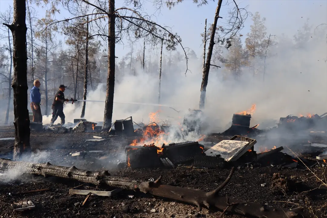 Fire Spreading to Forest in Şanlıurfa Under Control