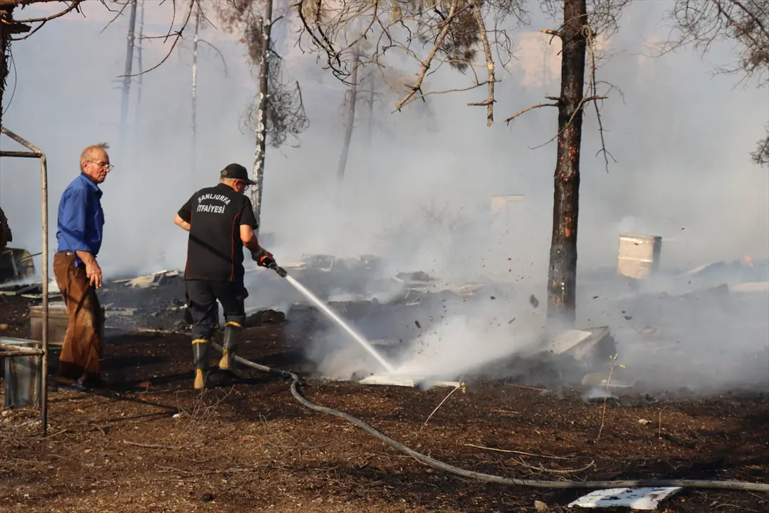 Fire Spreading to Forest in Şanlıurfa Under Control