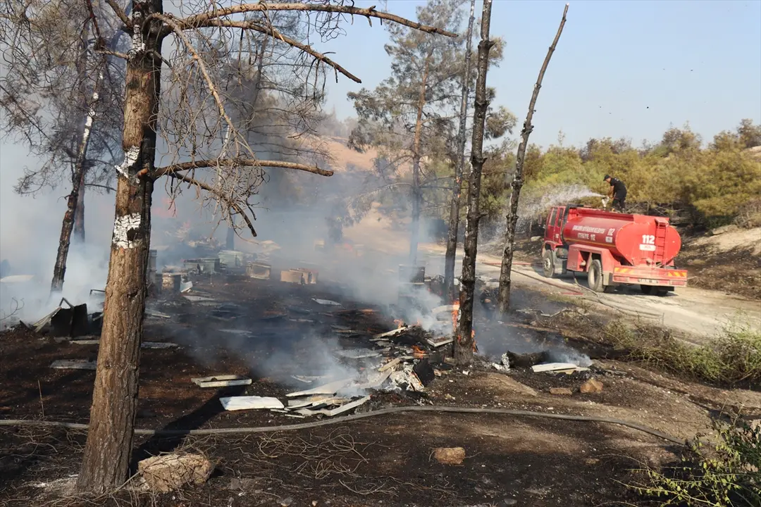 Fire Spreading to Forest in Şanlıurfa Under Control
