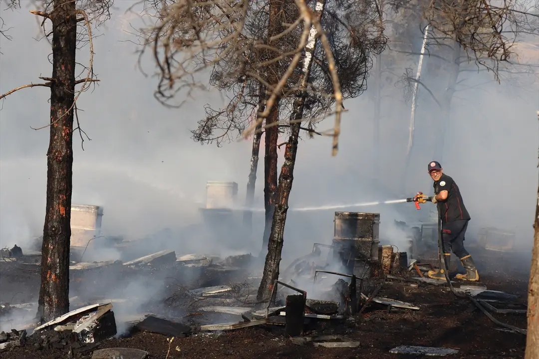 Fire Spreading to Forest in Şanlıurfa Under Control